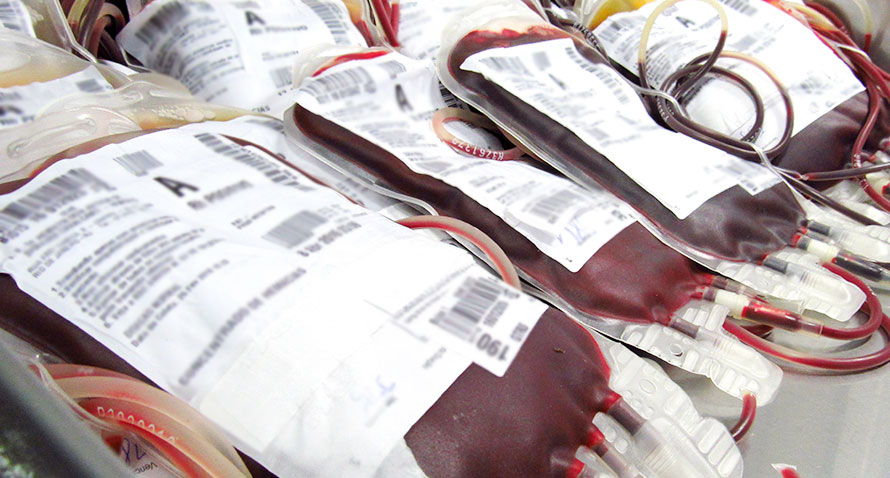 Anvisa lança novo manual de transporte de sangue